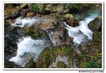 DSC_10021s