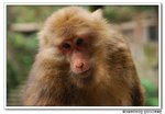 DSC_10157s
