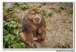 DSC_10174s