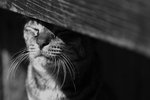 IMG_3905