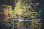 yellow wall