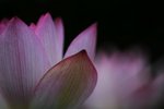 102_5435
