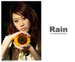 Rain006