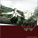 Cat0045