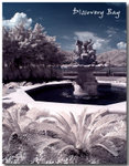 Discovery Bay 2007 1