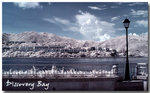 Discovery Bay 2007 2