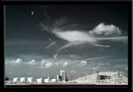 IMG_0387