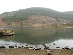 IMG_7193
