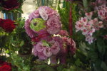 Oasis Florist 09-009