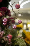 Oasis Florist 09-018