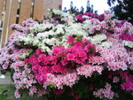at Poly U~April 08