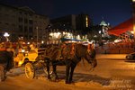 IMG_3388-web