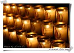 IMG_6733web