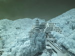 IMG_0775
