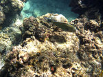 P1030261