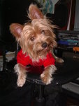 Picture 013