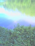 DSC00449