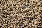 _BMA6103_nEO_IMG