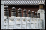 nEO_IMG_DSC_4247