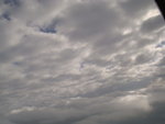 DSC00704