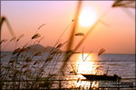 Sunset(Resized)004