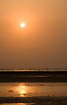 IMG_9411