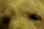 IMG_0675