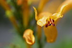 IMG_0651