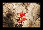 2008 03 02 09